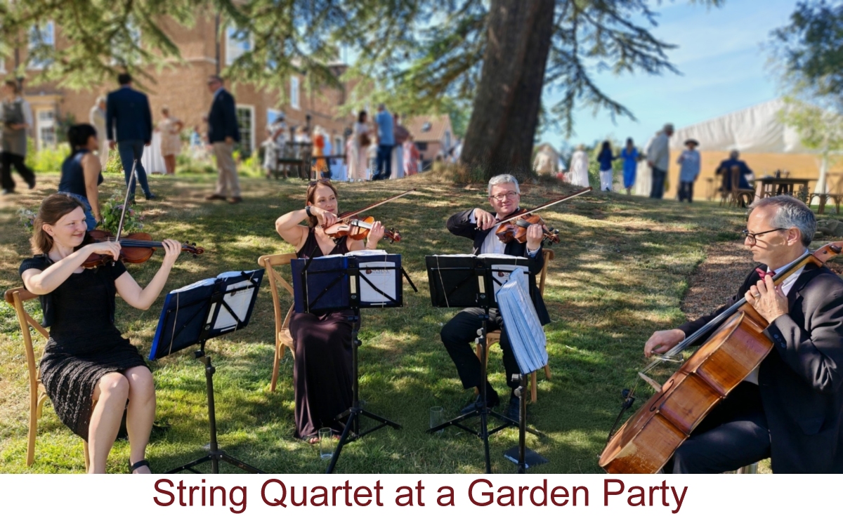 North East Soiree String Quartet_GardenParty